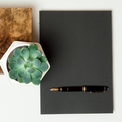 White desk with workspace accessories. Top view.  and a succulent plant. top view. card with space for text fountain pen wooden container lady concept Background for text copy space. 