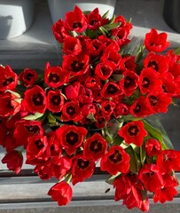 red tulipes bouquet