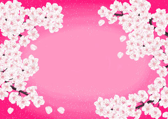 Obraz na płótnie Canvas 満開の桜の背景　鮮やかなピンク色 