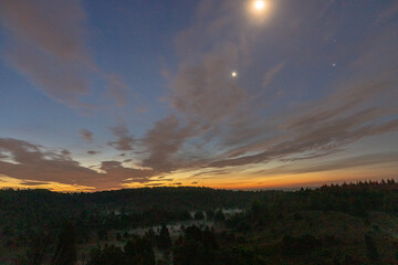 Obraz premium Lüneburger Heide