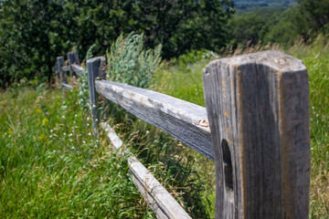 Fototapeta na wymiar wooden fence in the field