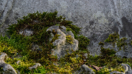 Monuments and statues stones having  green mosse on it.