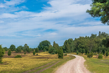 Lüneburger Heide