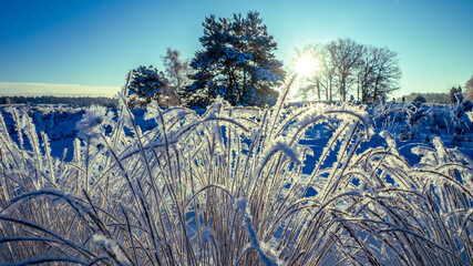 L&uuml;neburger Heide