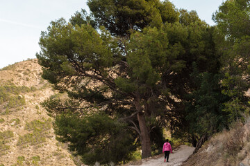 Young girl in pink sweatshirt goes trekking.