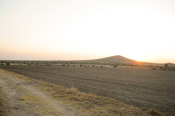Harvest field at sunset in Temascalapa Mexico