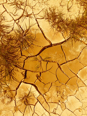 dry cracked earth