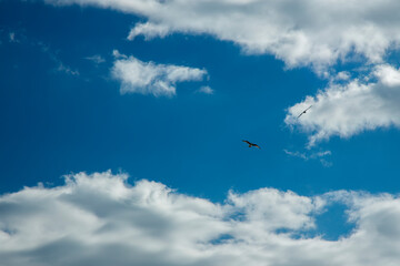 Clouds in the sky