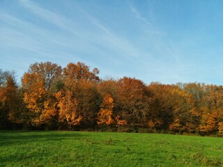 Fall in Burgundy's countryside, France - November 2017