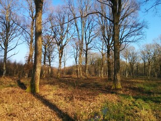 Winter in Burgundy's countryside, France - February 2015