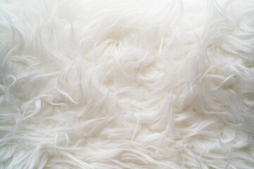 Close up photography of a fluffy white carpet