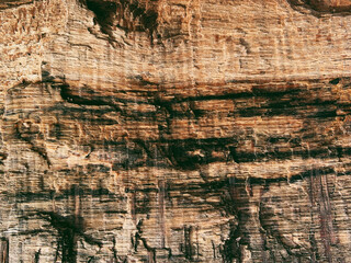 abstract wood texture vintage background. Wooden hardwood board decoration close up shot.