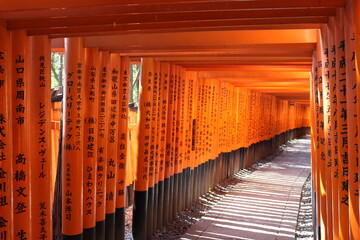 Fushimi Inari