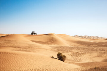 Scenic landscape with desert plant and buggy quad car riding far at sand hill, extreme sports...