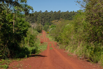 Camino de tierra colorada, Eldorado, Misiones, Argentina, 9 de octubre de 2019