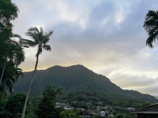 Fototapeta na wymiar View of O'ahu, Hawaii - January 2020