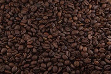 Many coffee beans in dimly lit environment