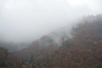 Fototapeta premium Hilly Colored Autumn Forest With Fog Ascending