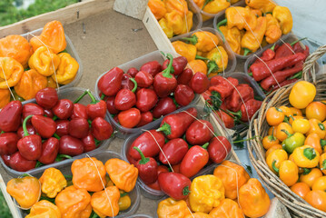 Assorted Peppers In Wooden Box