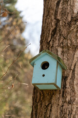 colorful bird house hanging from a tree trunk in the park