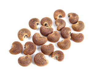 Ambrette Seed (Abelmoschus Moschatus). Also known as Abelmosk, Bamia Moschata, Galu Gasturi, Muskdana, Musk Rose Mallow, Musk Yorka Ornamental Okra, Tropical Jewel Annual Hibiscus. Isolated on White.