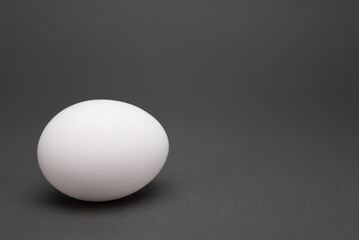 White egg on a gray background