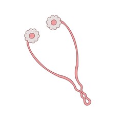 美顔ローラー　コロコロ