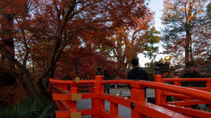 autumn in the park