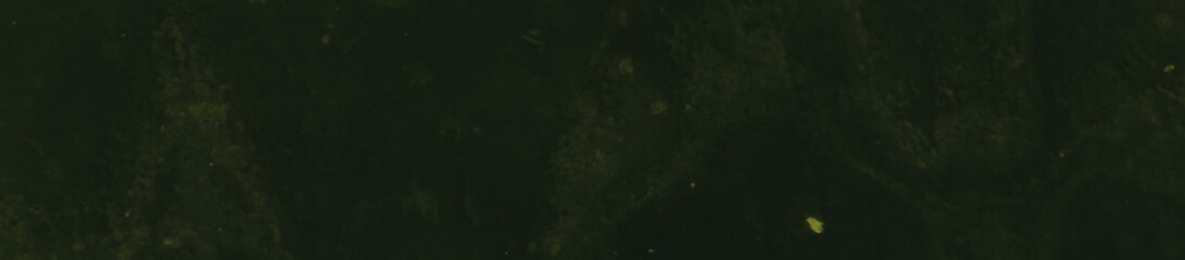 abstract black and dark green colors background for design