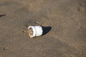 Hermit crab adopting a plastic top on the beach