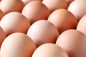 A close up shot of some fresh farm eggs on a cardboard egg tray.