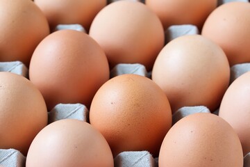 A close up shot of some fresh farm eggs on a cardboard egg tray.