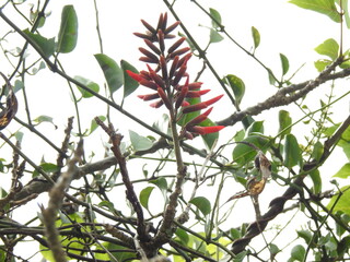 Mis fotos