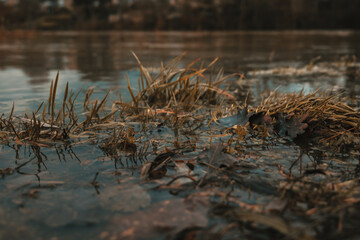 grass surrounded by water in autumn
