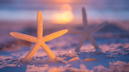 Naklejka na ściany i meble Starfish on the ocean beach. Spring or summer vacations. Beautiful ocean sunset. Sea or Ocean coast with white sand. Florida paradise. Tropical nature. Beautiful ocean sunset. Good for travel agency. 