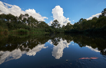 Reflections of a forest and cloudy sky with green trees in a large wetland lake in the beautiful Australian landscape.
