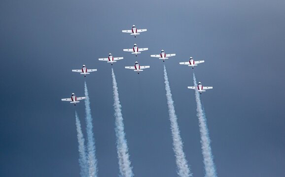 Canadian Snowbirds