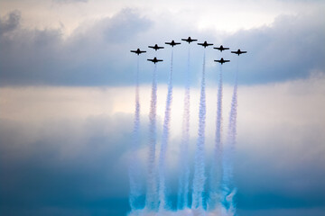 Obraz premium Canadian Snowbirds plane Airshow