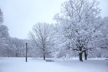 Winter scene with snow covered trees and roads in a park, Brooklyn, NY. Cold weather
