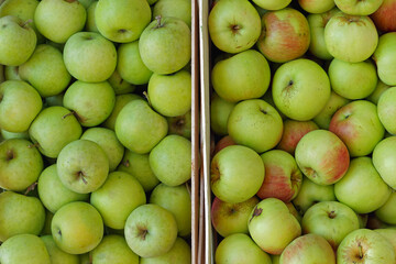Green apples