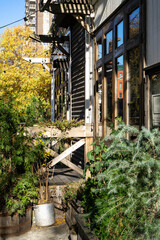 Facade of an old wooden building in the middle of the city, with lots of plants at the front