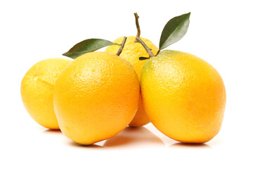 Orange fruit on the white background