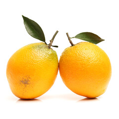 Orange fruit on the white background