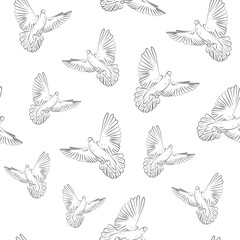 Seamless pattern of drawn flying black and white pigeons on a white background. Flight of white doves.