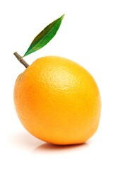 Orange fruit on the white background