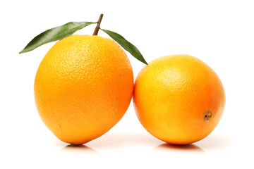 Orange fruit on the white background