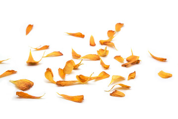 Obraz premium yellow flower petals. Selective focus, top view, copy space.