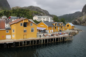 houses on the river