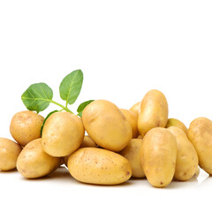 New potato isolated on white background 