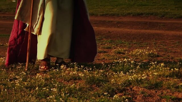 Lonely and anonymous shepherd with his flock of sheep in the meadow. 
Symbolic scene of Jesus Christ, the Good Shepherd.